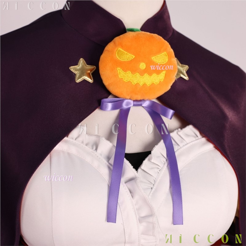 Cadılar Bayramı Yetişkinler İç - Re Zero Rem Wig incelemesi ve fiyatı